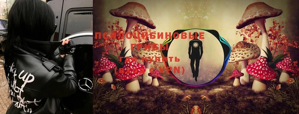 a pvp Богородицк
