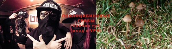 прущая мука Богданович