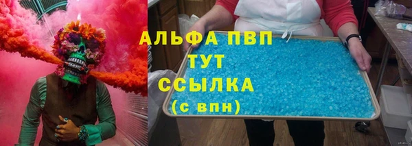 СК Богородск