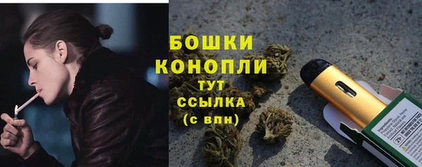 СК Богородск