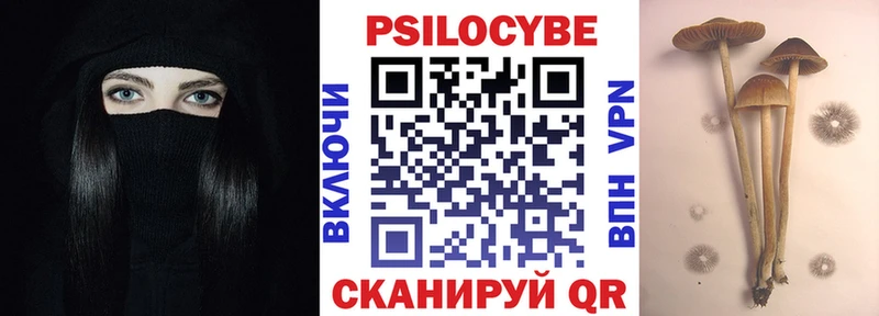 купить наркоту  Костомукша  Псилоцибиновые грибы прущие грибы 
